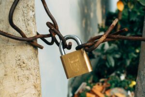 SSL Certificates — Photo by Markus Winkler via Pexels