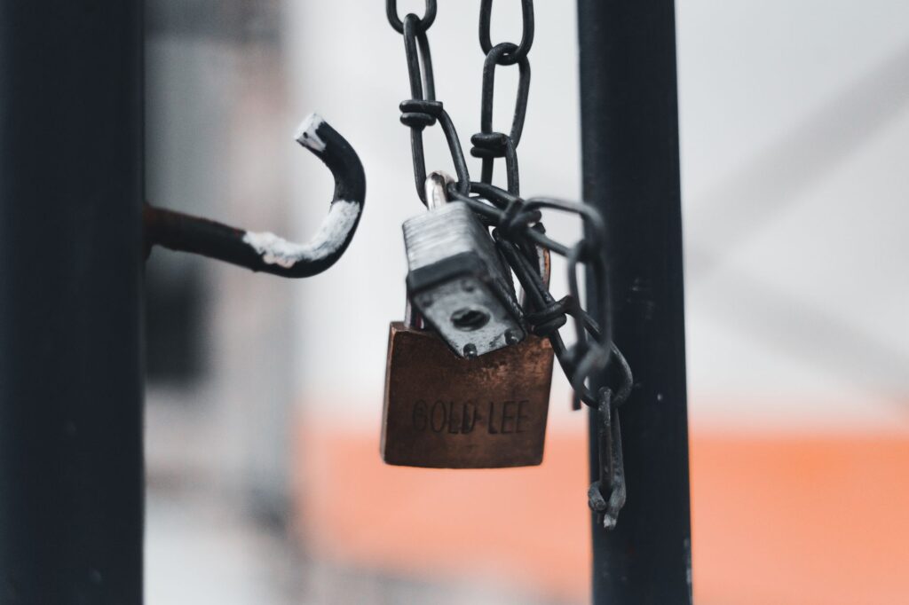 SSL Certificates — Photo by Erik Mclean via Pexels