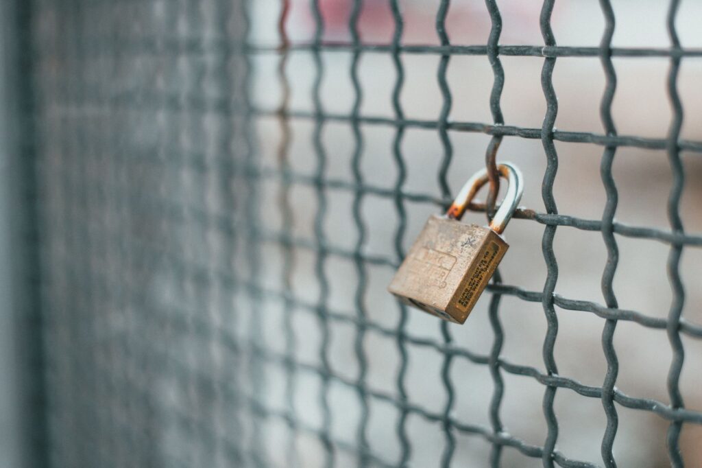 SSL Certificates — Photo by Erik Mclean via Pexels